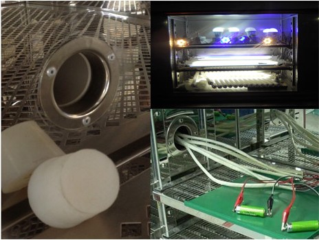 LED高低温试验箱